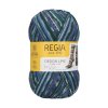 Regia Design Line by Arne & Carlos 100g - Winter Night 03658