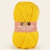 Hayfield Bonus Super Chunky - Cornfield 574