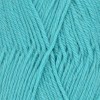 Ella Rae Classic Wool - Tame Teal #407
