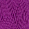 Ella Rae Classic Wool - Boysenberry Pie #409
