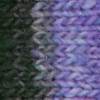Noro Kureyon - Niiza #480