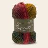 Hayfield Spirit Chunky - Autumn 415