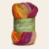 Hayfield Spirit Chunky - Casper 405