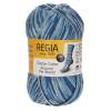 Regia Cotton Color - Helsinki