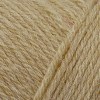 Wildfoote Luxury Sock Yarn - Whispering Wheat SY63