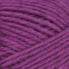 Nature Spun Worsted - Boysenberry 157