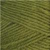 Nature Spun Worsted - Grecian Olive 104