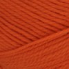 Nature Spun Worsted - Orange You Glad N54