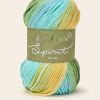 Hayfield Spirit Chunky - Spring 434