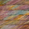 Malabrigo Caprino - Dancing Leaves 300